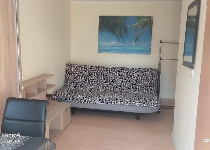 Apartment Helle Mittendrin Schwerin (Mecklenburg-Vorpommern)